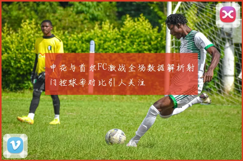 申花与首尔FC激战全场数据解析射门控球率对比引人关注