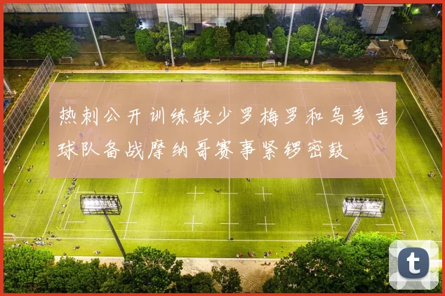热刺公开训练缺少罗梅罗和乌多吉球队备战摩纳哥赛事紧锣密鼓